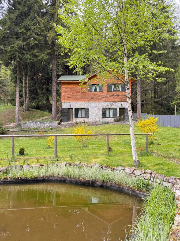 hadar chalet casuta zen