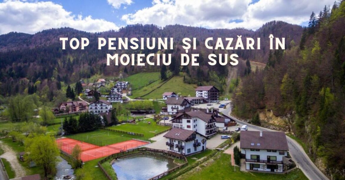Top Pensiuni și Cazări în Moieciu de sus