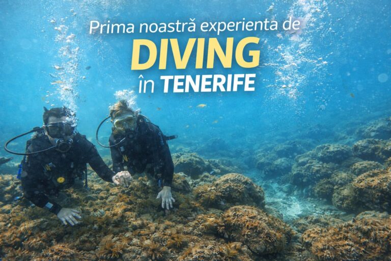 Prima noastră experiență de diving în Tenerife: liniște, pești curioși și momentul în care uiți că ești sub apă