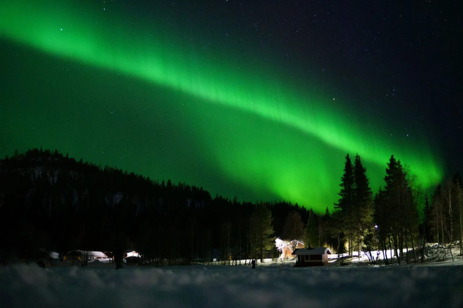 Aurora deasupra unei păduri înzăpezite din Laponia finlandeză