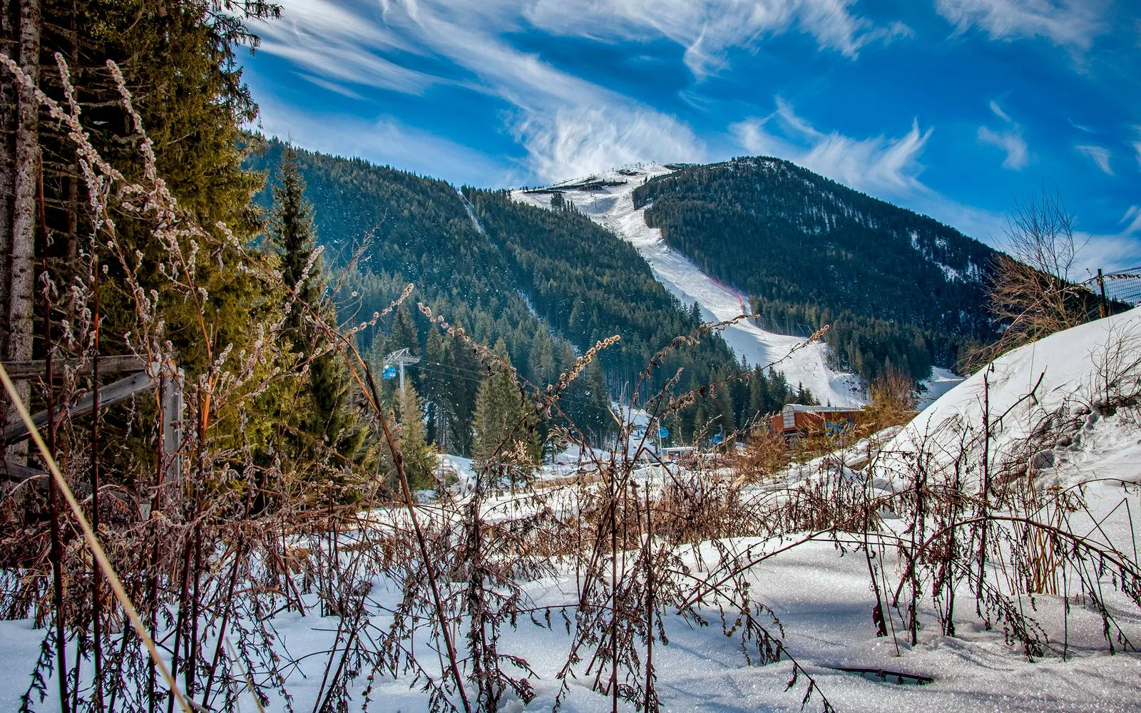 Pârtie de schi care coboară prin pădure pe versantul Munților Pirin, deasupra Bansko