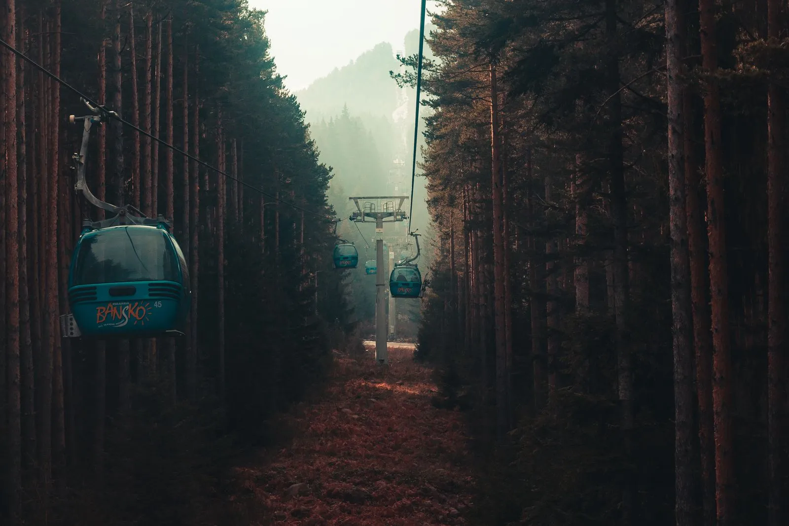 Cabine ale telegondolei din Bansko urcând prin pădurea de pini spre pârtii