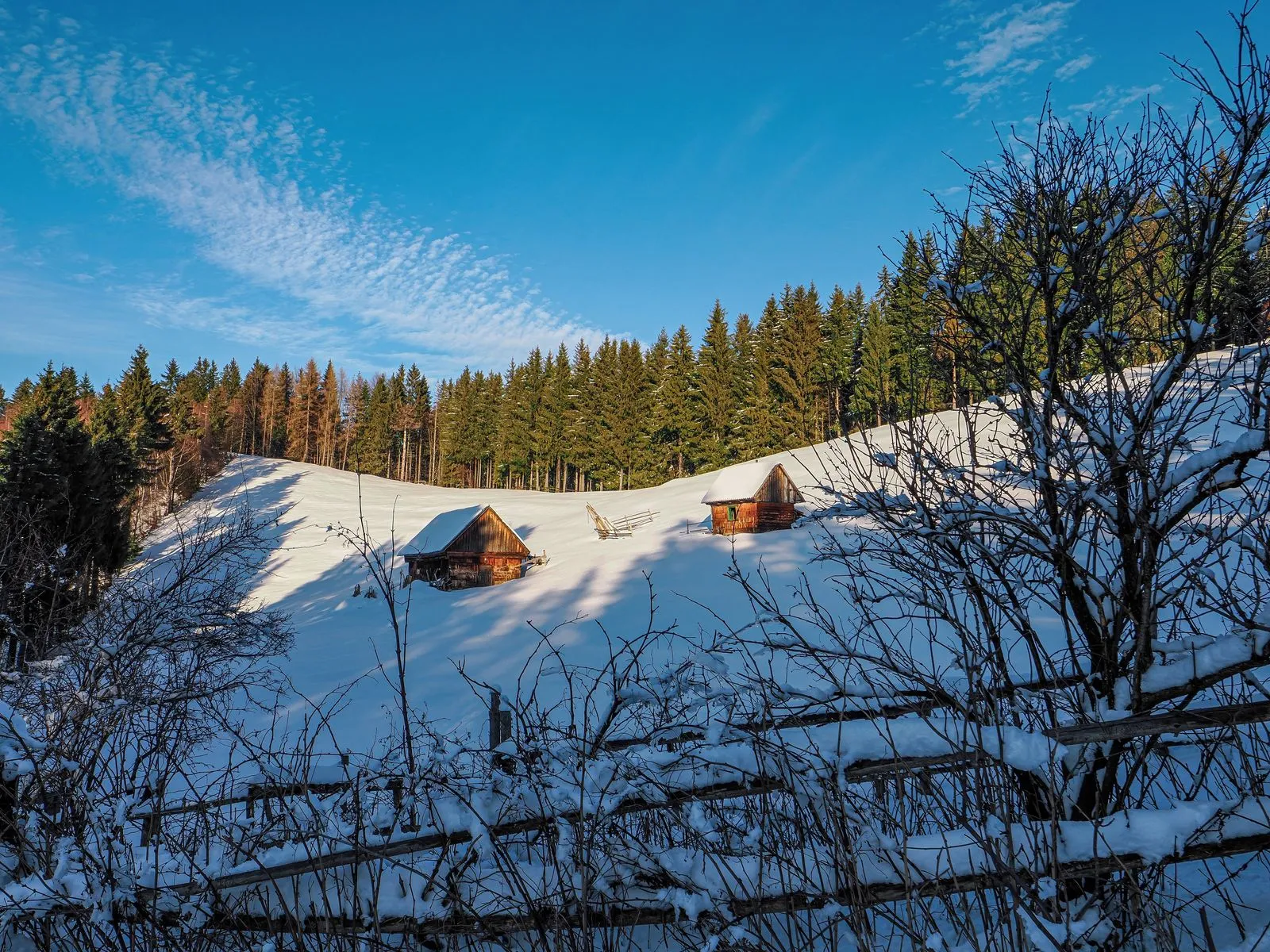 Cabane de lemn pe o pajiște înzăpezită, lângă o pădure de brazi, în munții Brașovului