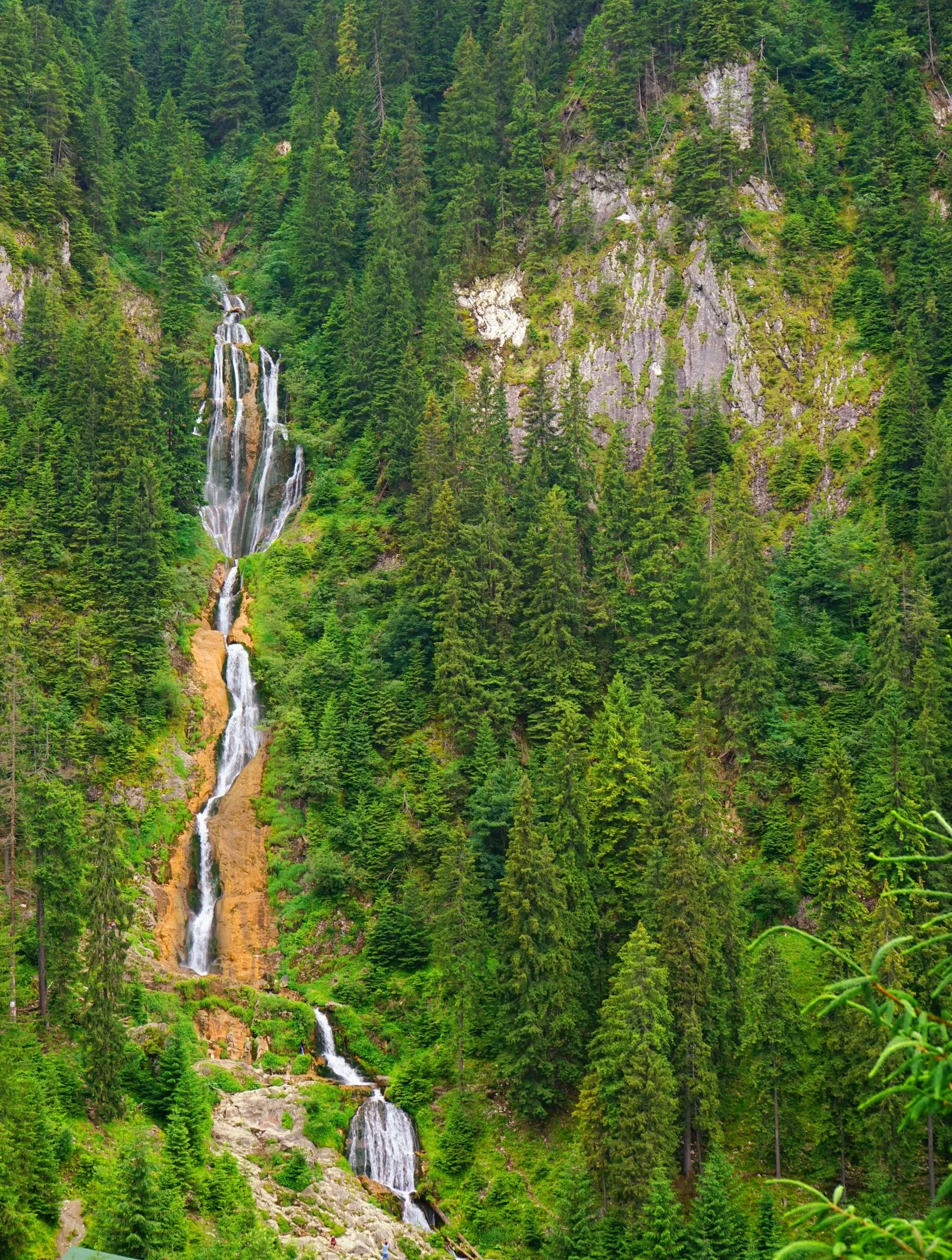 Cascada Cailor din Borșa, în Munții Rodnei, coborând în trepte printre brazi