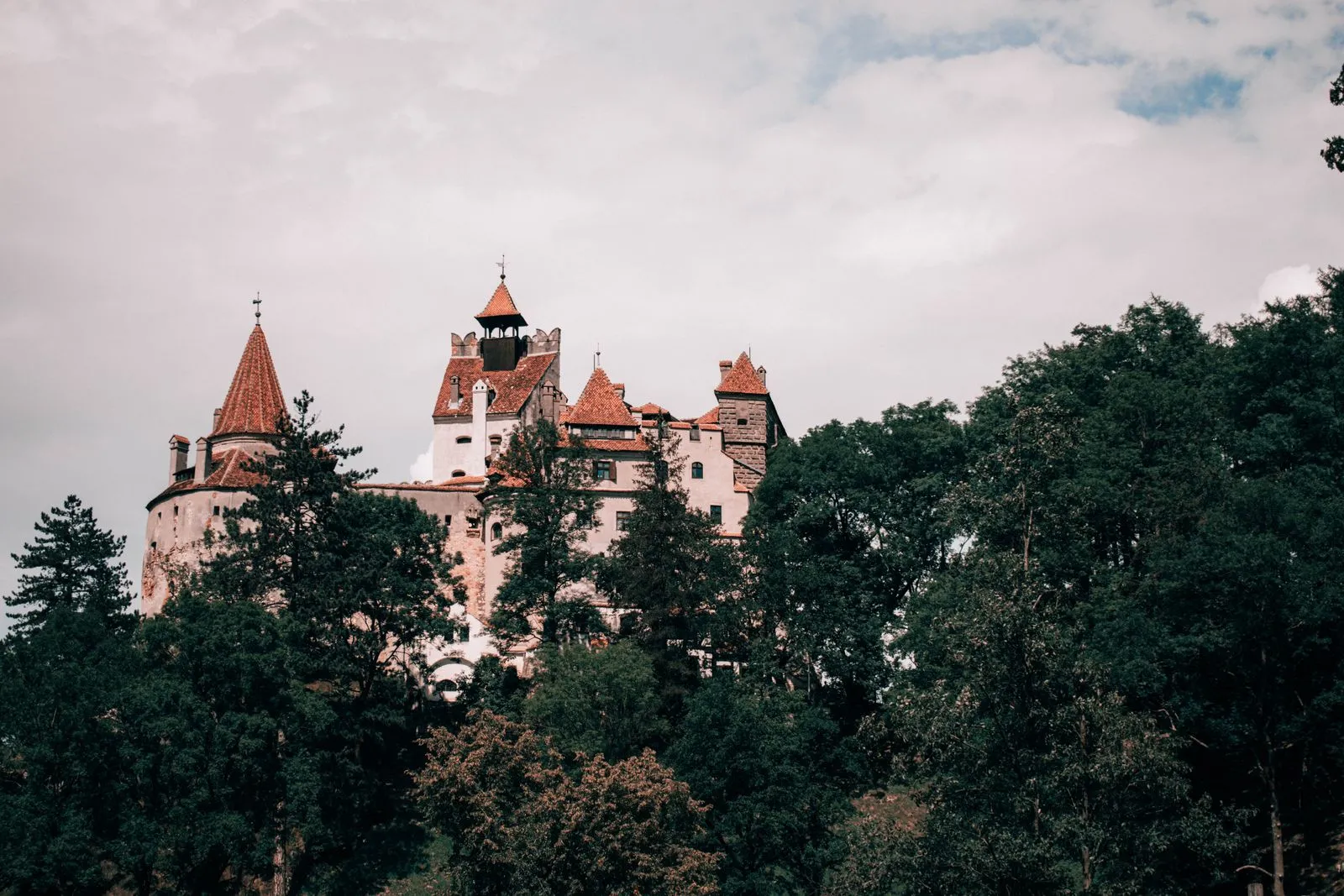 Castelul Bran văzut dintre brazi, dinspre drumul DN73