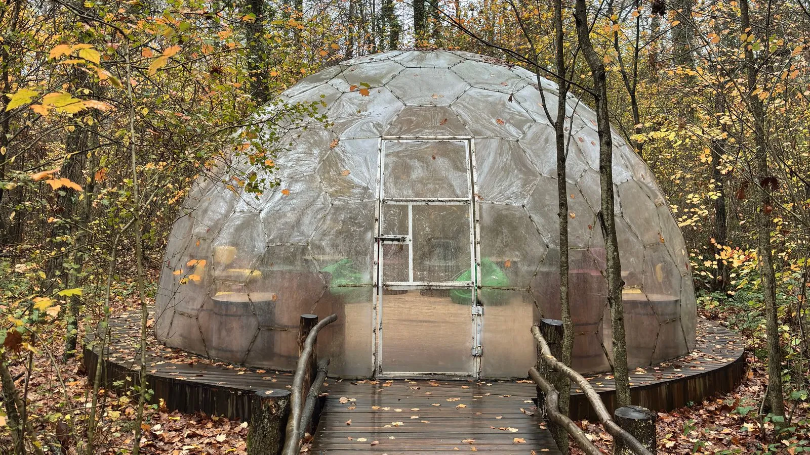 Dom transparent de glamping pe o platformă de lemn, într-o pădure de fag toamna