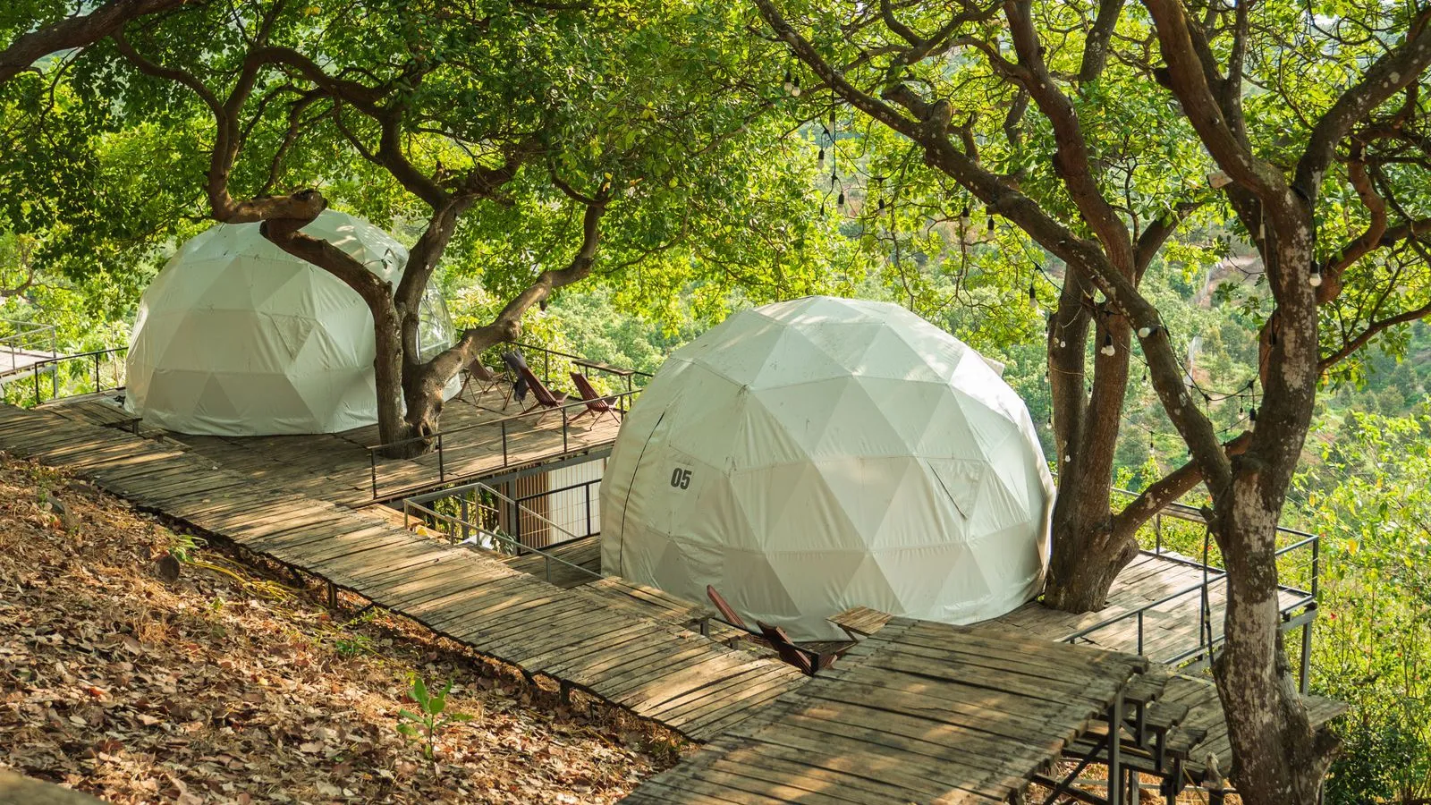 Două domuri geodezice de glamping pe pasarelă de lemn, într-o pădure de deal