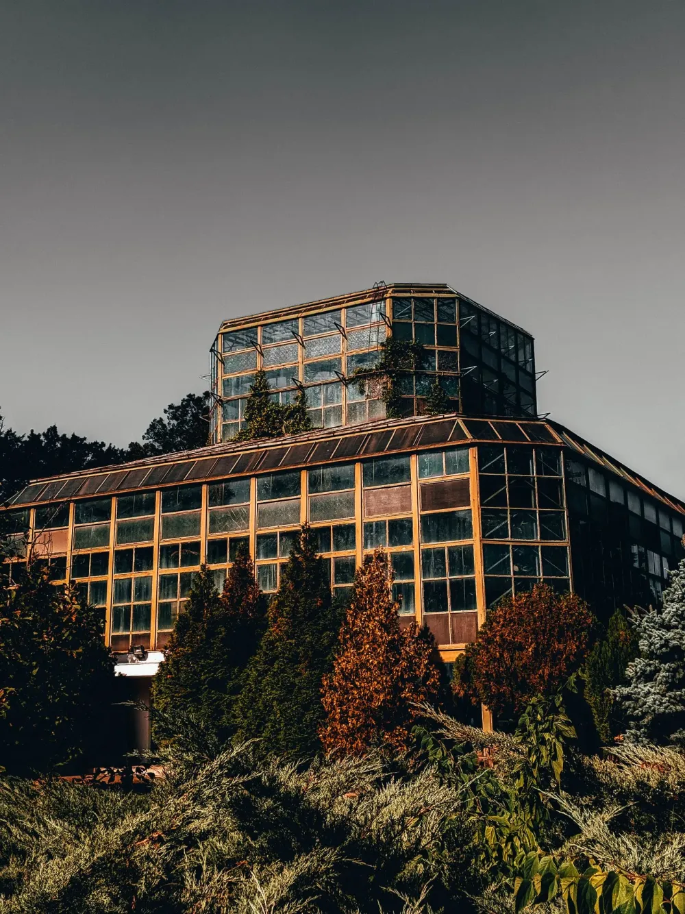Sera de expoziție din Grădina Botanică Dimitrie Brândză din București