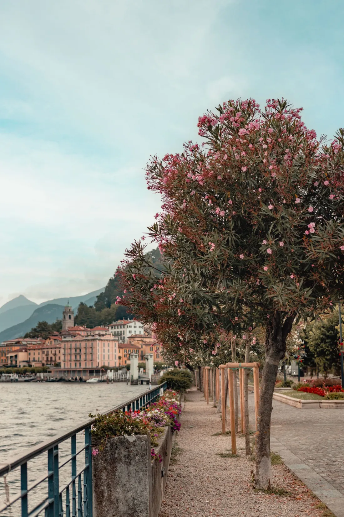 Promenada cu leandri de pe malul lacului Como, în Bellagio, cu casele colorate în fundal
