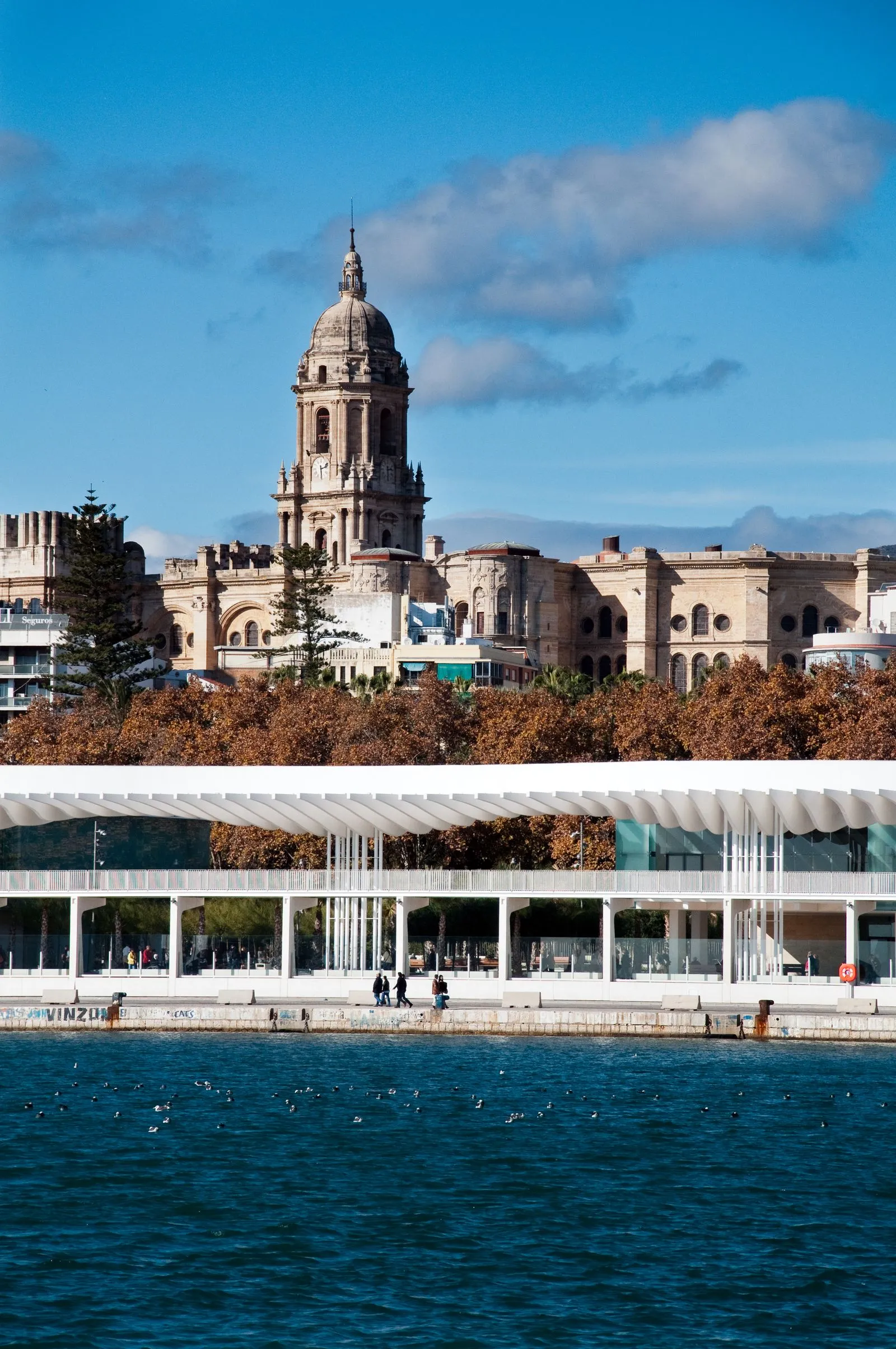 Turnul catedralei din Málaga deasupra promenadei Palmeral din port