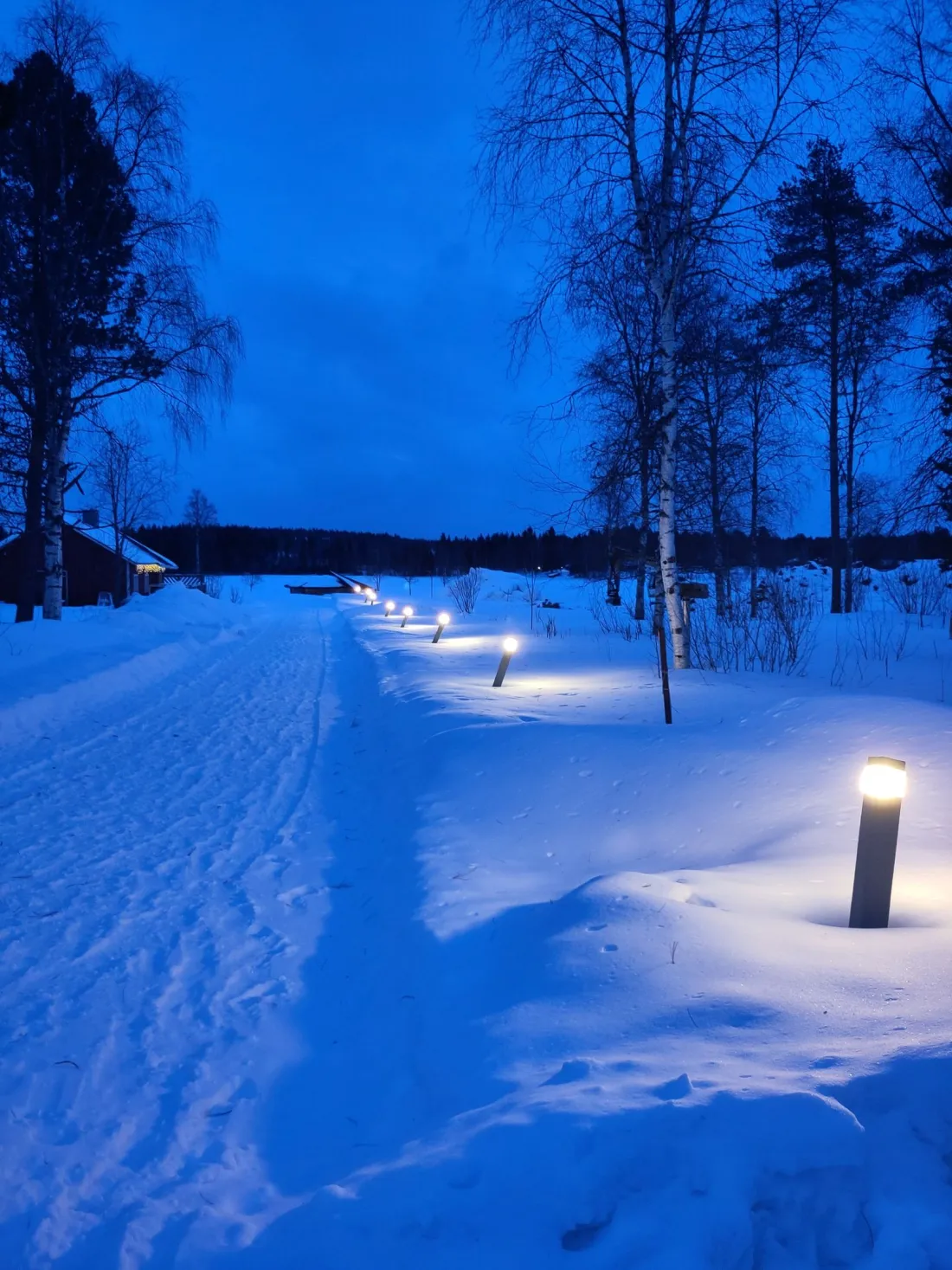 Drum înzăpezit luminat de felinare în ora albastră, la Rovaniemi