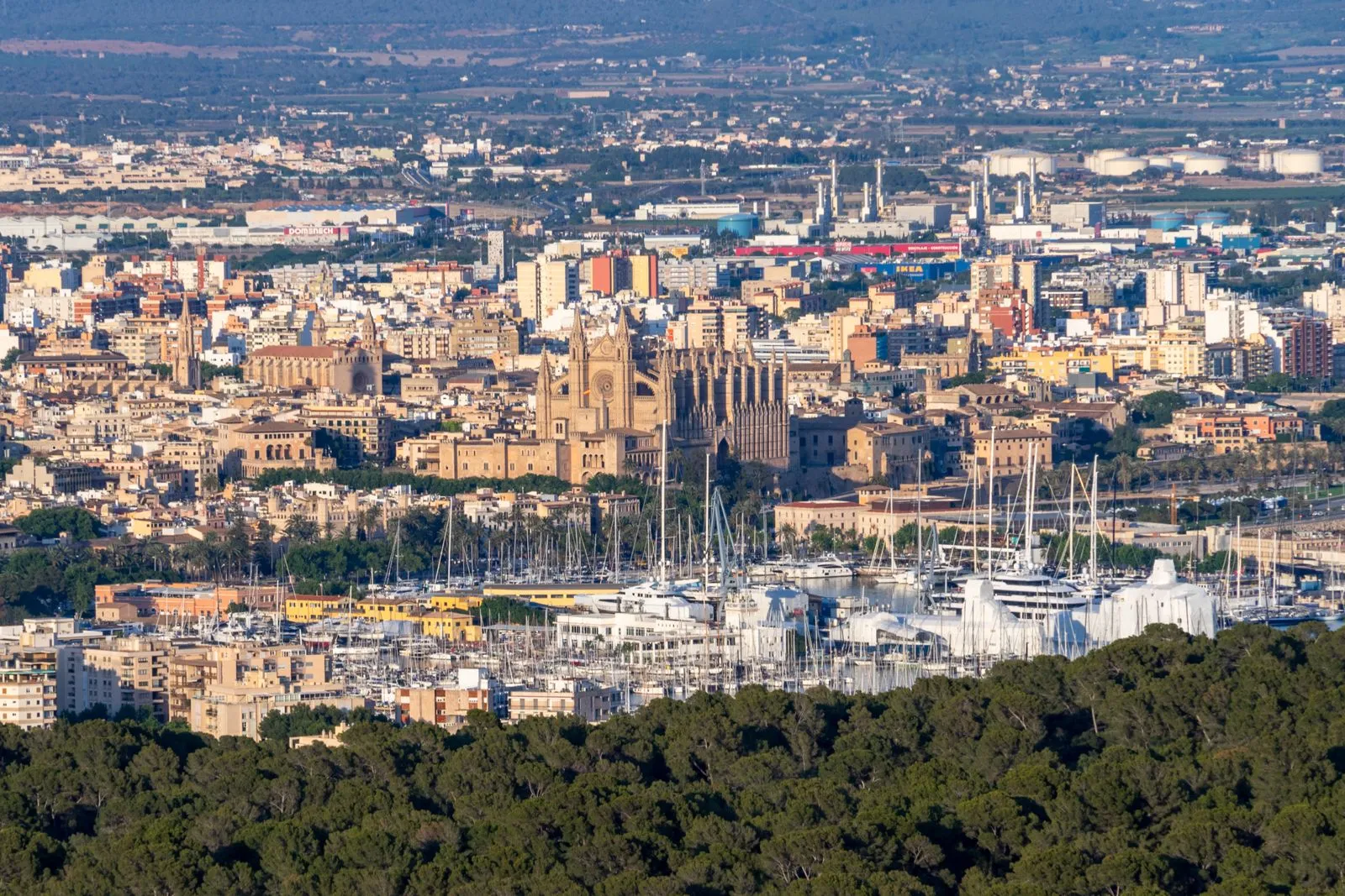 Palma de Mallorca văzută de sus, cu catedrala La Seu deasupra portului de iahturi