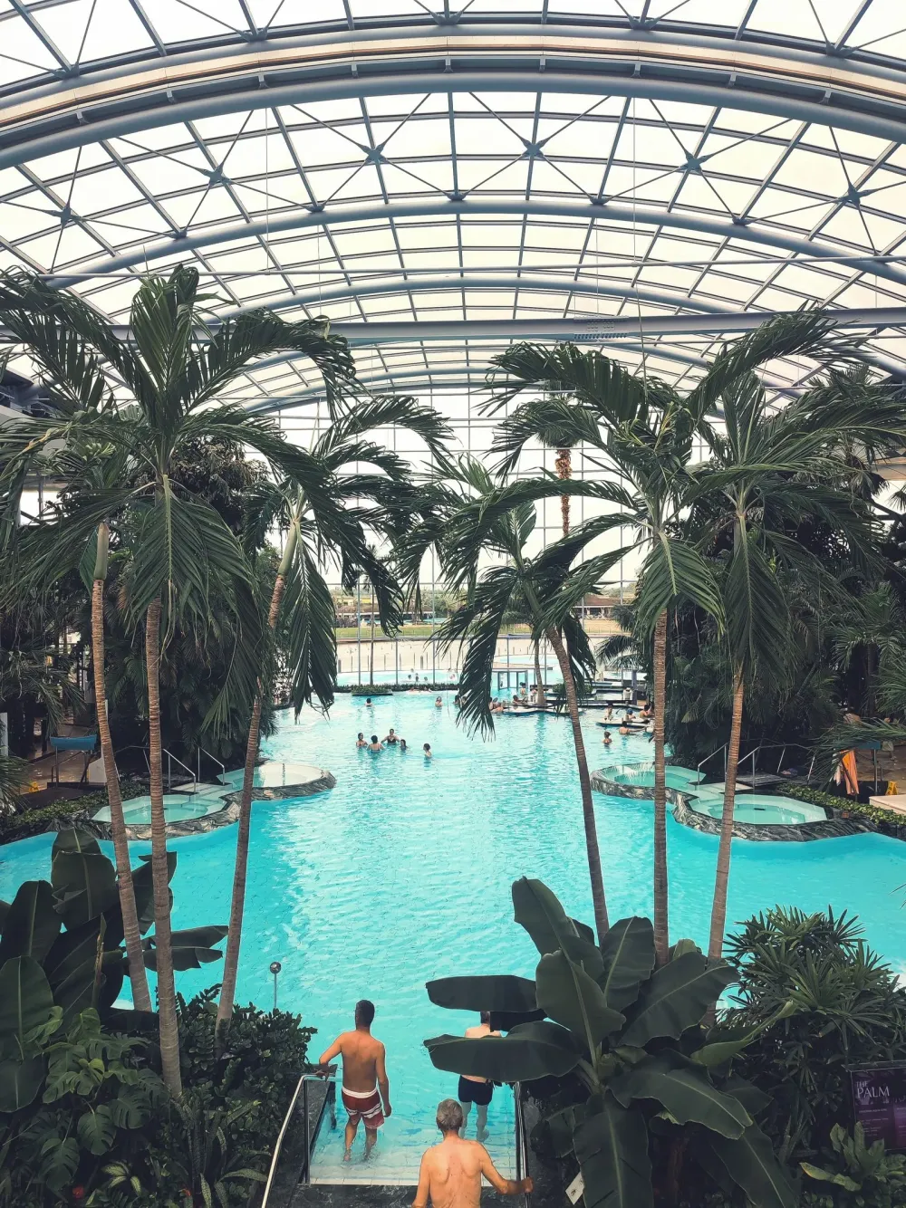 Piscina interioară cu palmieri de sub cupola de sticlă de la Therme București, Balotești