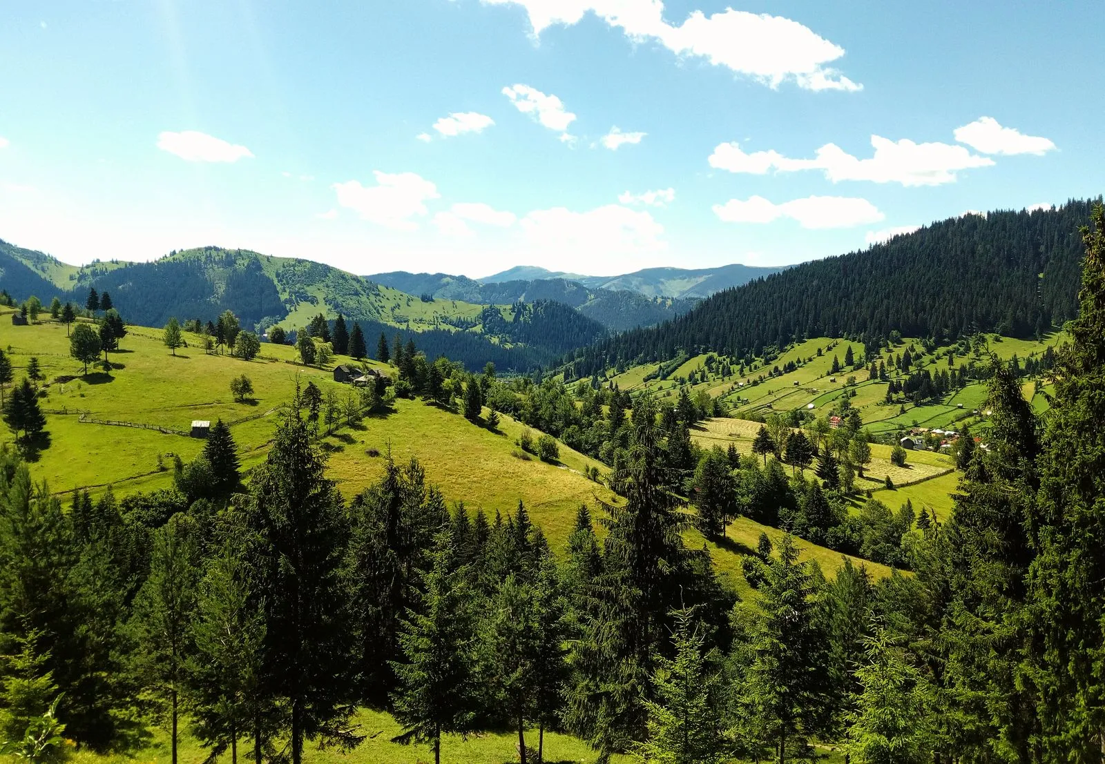 Dealuri împădurite și pășuni în jurul stațiunii Vatra Dornei, Bucovina