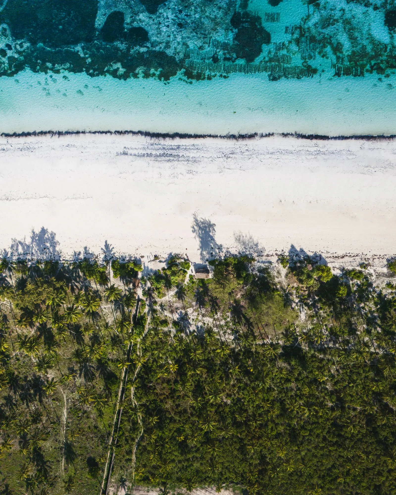 Plajă albă între apa turcoaz și palmieri, fotografiată din aer în Zanzibar