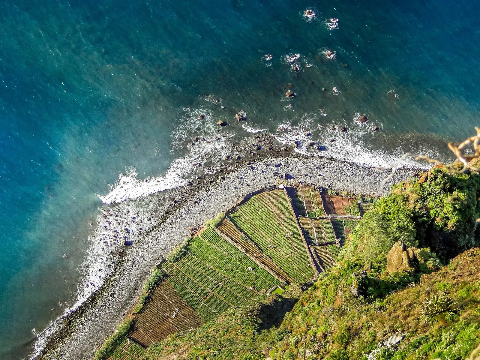 Coasta de la Câmara de Lobos văzută de sus: plajă de pietriș și terase cultivate la baza falezei