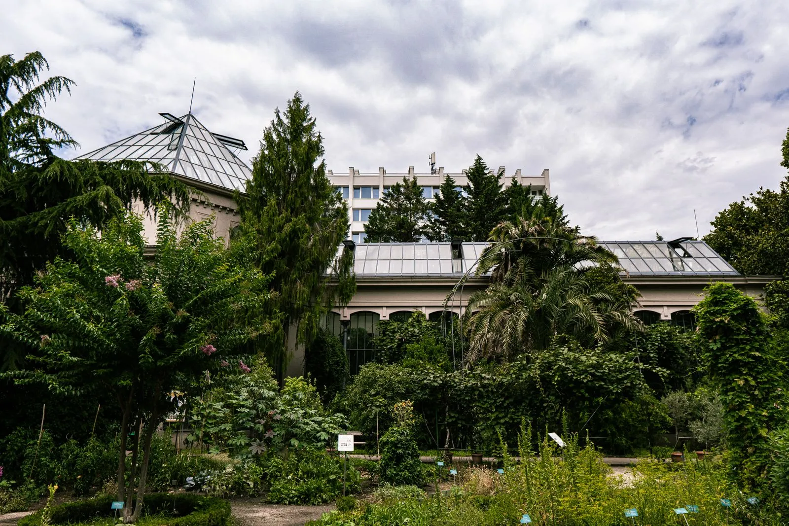 Serele și vegetația din Grădina Botanică Alexandru Borza din Cluj-Napoca