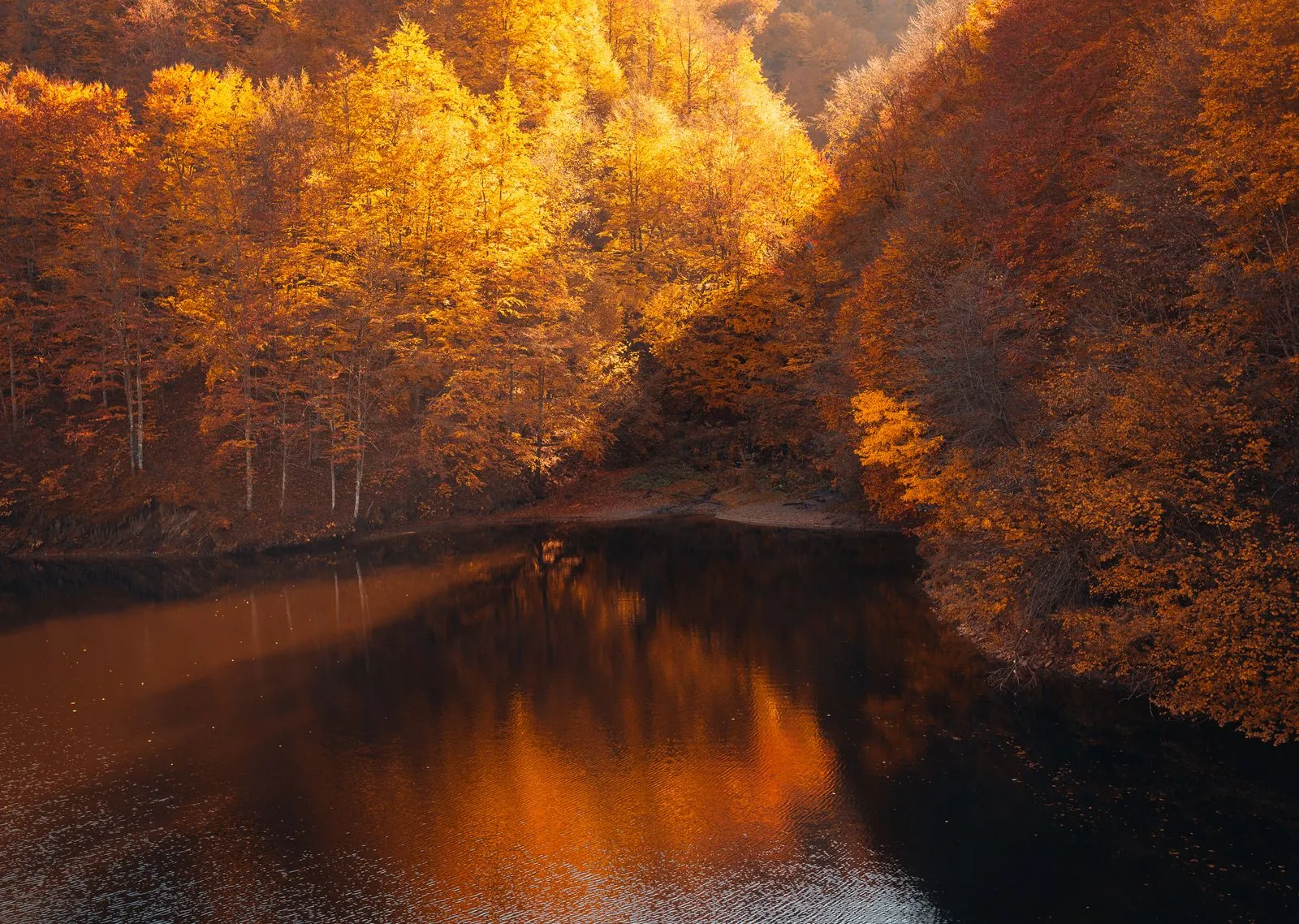 Lacul Tarnița toamna, cu pădurile de pe mal reflectate în apă
